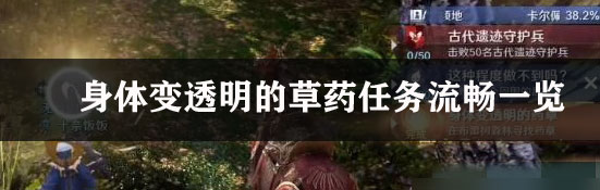 完成《黑色沙漠》手游身体变透明的草药任务流畅一览