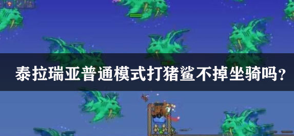 泰拉瑞亚普通模式打猪鲨不掉坐骑吗？