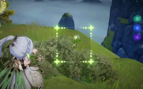原神草神几命性价比最高2