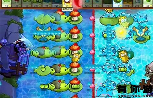 PVZ杂交版益智模式阴阳池怎么过关攻略
