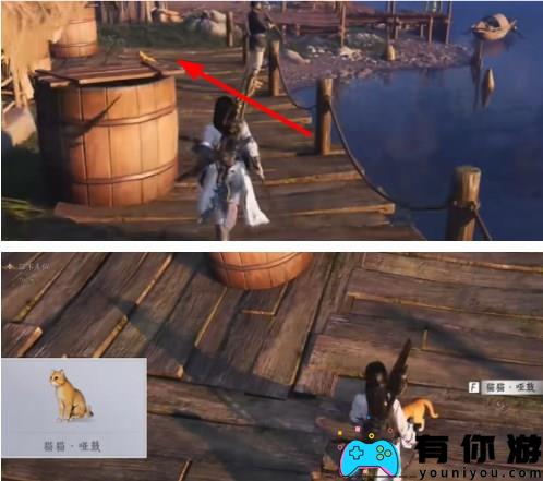 燕云十六声中的猫猫哑鼓在哪里