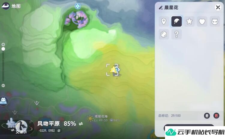 伊莫晨星花 采集点位置在哪