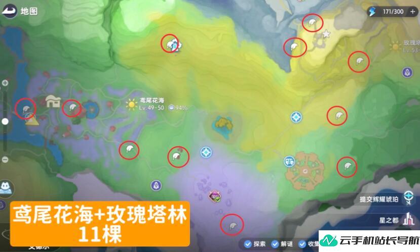 伊莫晨星花 采集点位置在哪